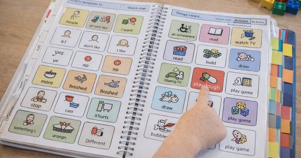 Low-Tech Communication Books and PODD: A Guide